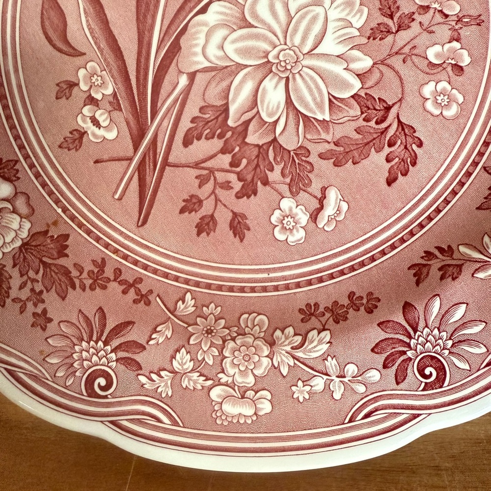 Spode Archive Collection, Georgian Series, 10.5”Collectable Plate, “Botanical" - Picture 4 of 7